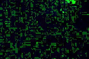 Swallow That Big Black Cock!