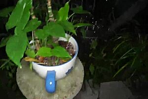 mackenzie mace pranks in park