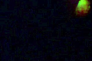 Swallow That Big Black Cock!