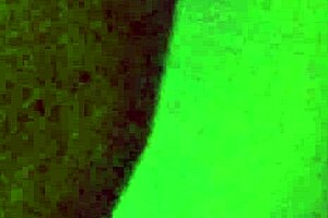 Uninvited penetration: When a neighbor’s unexpected meeting a Colombian BBW