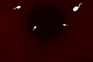 Wankz: Leggy Blonde Receives Rough Facial Cumshot