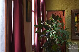 Blonde Australian Fingers Ass In Afternoon Tease