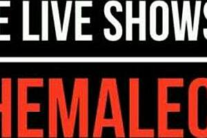 tranny interacts on webcam with another