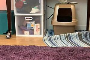 pussy play with clit, cock, and dildo leads to wet squirting orgasm