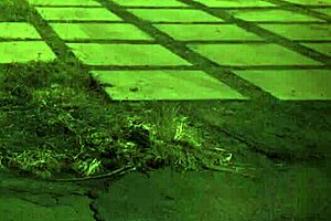 Toilet anal hardcore bondage unless you're from the sixties