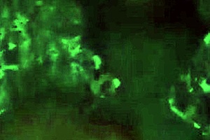 Naejae Demands You Not Let Up On Her Hairless Pussy