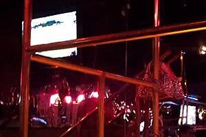 Retro Frankie in hot stockings strips and gets spied on