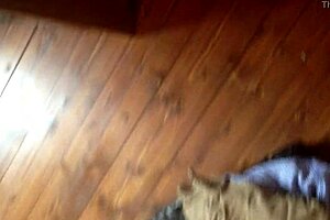 Img 1992 Mov From Retro Blue Films Era