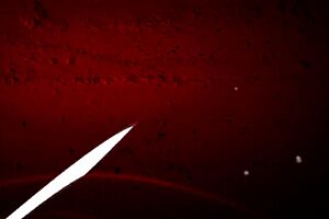 marie bossette touches herself while getting tattooed backstage