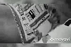 African American Booty Scratcher Emotions