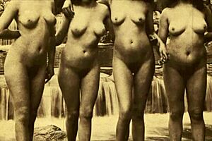 Vintage glimpse presents 19th century english gentleman's secret diaries