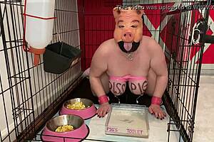fuckpig caged drinking piss eating from bowls 🐷💩