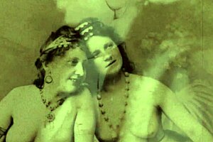 Vintage glimpse presents 19th century english gentleman's secret diaries