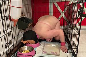 fuckpig caged drinking piss eating from bowls 🐷💩
