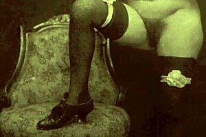 Vintage glimpse presents 19th century english gentleman's secret diaries