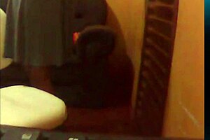 pandora legs on webcam