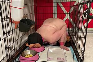 fuckpig caged drinking piss eating from bowls 🐷💩