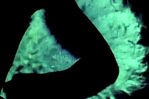 Vintage glimpse presents 19th century english gentleman's secret diaries