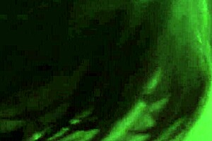 Loopy Lou Blow Job - Amateurs Sucking Hard