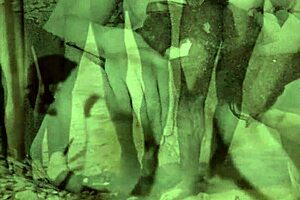 Vintage glimpse presents 19th century english gentleman's secret diaries