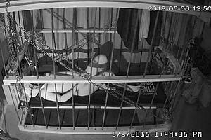 Intense cage bondage for gay slave, bound tightly in the cage