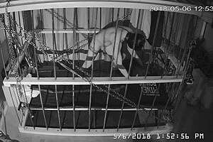 Intense cage bondage for gay slave, bound tightly in the cage