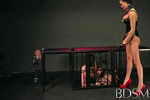 i made my slave girl suck my cock to please me