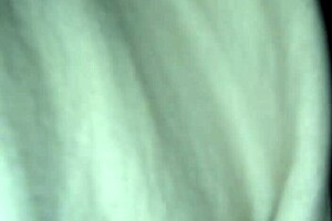 big booty eva leaves her best ass pussy behind at work lol