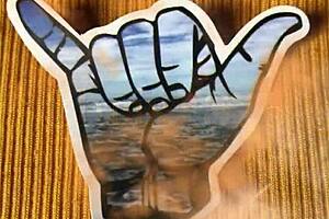 Amateur African Babe Bent Over for Hard Doggystyle Pussy Fucking