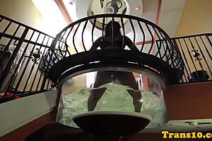 lingerie shemale tugs cock in spa