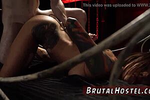 Felicity Feline Bound in Bondage!