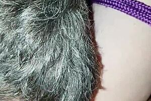 Mature man casually eats his young girlfriend's pussy in POV.