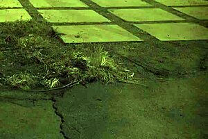 Old Man Dominates Bound Teen Unless You're From The Sixties.