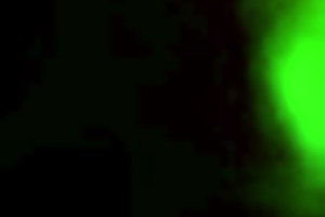 neighbor spied on in bathroom activities