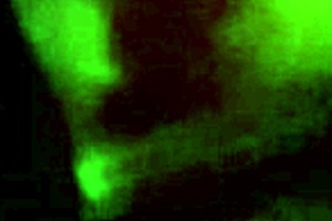 neighbor spied on in bathroom activities