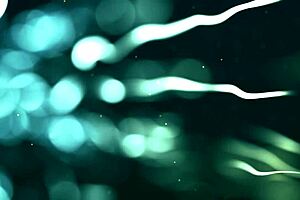 I feel a touch of joy in this moment