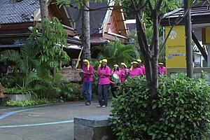 croc girl in sexy bikini poses intriguingly