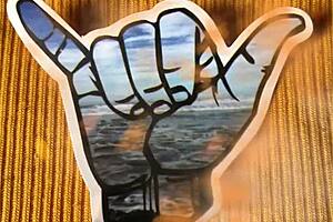 Black Pussy Fuck Amateur