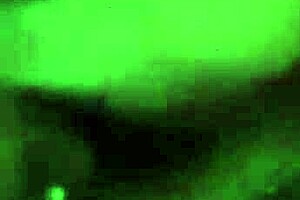 Intense Cock Sucking Emotions