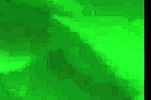 amateur couple sucks rides and cums on monster cock