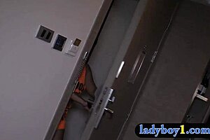 big round ass ladyboy engages in oral and anal