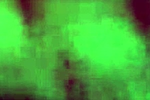 amateur couple sucks rides and cums on monster cock