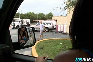 Luna star following this amazing ride on the 305 bus, double cocked and ready to go