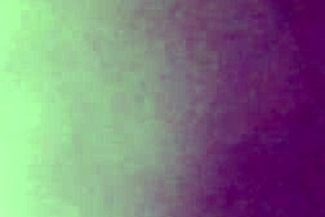 wet pussy and asshole in homemade doggystyle