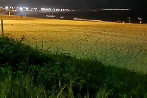 Latina Dogging Complete With Gangbang Banging Big Ass Tits