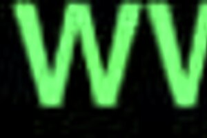 wet pussy and asshole in homemade doggystyle