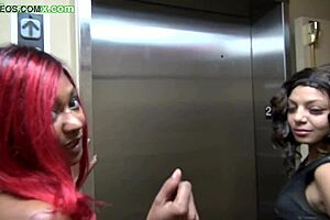 BangTV-Lexi-Kandi! What’s This Ebony Group Doing with That Big Ass? Tell Me Now!