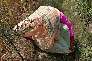 Desi bhabhi fucked in jungle