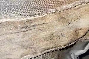 Neighbor's Dirty Underwear Left In The Laundry