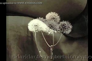 Dark Lantern Presents Hot Odour From Secret Life Erotic Confessions Of Victorian Gentleman